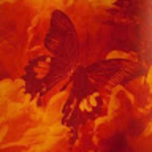 Meet your Posher, Serena